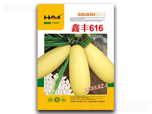 ���S616-���������J�N��-�β���