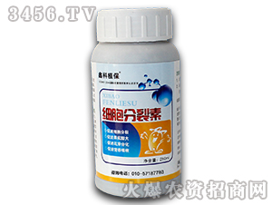 ֲ���{����-����������-������˹ 