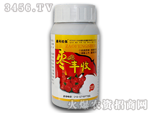 �󗗌��ÿ����I�B���a�{�턩-���S��-������˹