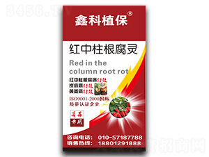 �t���������`����ݮ��(zhu��n)�ã�-������˹