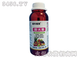 500ml�����-������˹