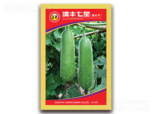 ���S���ǹ���-���ϷN��-�����r