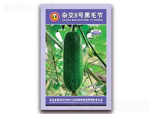 �s��8̖��ë����-���ϷN��-�����r