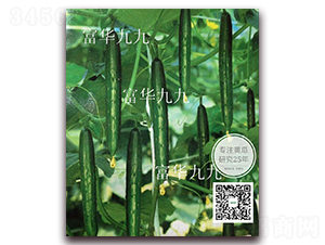 ���A�ž�-�S�ϷN��-�¸ɾ�