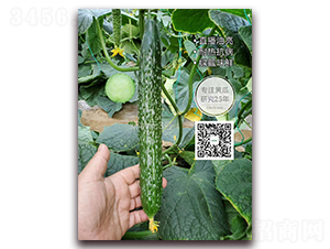 � �Ԫ3̖(h��o)-�ܴ��S�ϷN��-�¸ɾ�