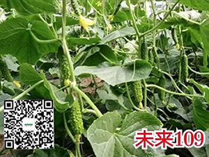 δ��109-�S�ϷN��-�¸ɾ�