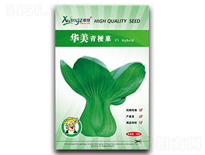 �A���๣��-��˷N��-���߷N�I(y��)