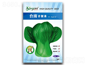 �_���๣��-��˷N��-���߷N�I(y��)