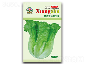 ���x���������-��˷N��-���߷N�I(y��)