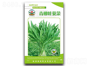 �����~�{��-�{�˷N��-���߷N�I(y��)