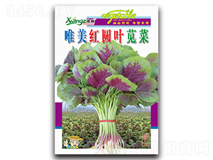 Ψ���t�A�~�{��-�{�˷N��-���߷N�I(y��)