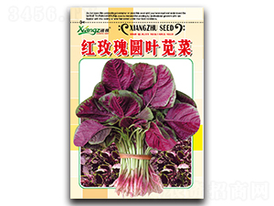 �tõ��A�~�{��-�{�˷N��-���߷N�I(y��)