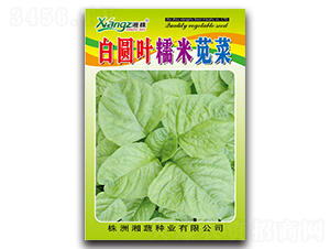 �׈A�~Ŵ���{��-�{�˷N��-���߷N�I(y��)