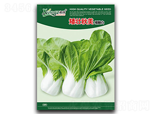 ��������-��˷N��-���߷N�I(y��)