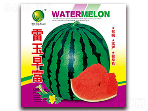 雷玉早富-西瓜種子-雷玉種業