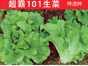 ����101����-���˷N��-�f�r(n��ng)�߿�