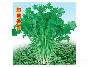 �������-��˷N��-�f�r(n��ng)�߿�