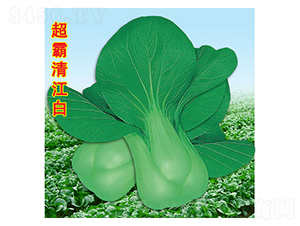 �����彭��-��˷N��-�f�r(n��ng)�߿�