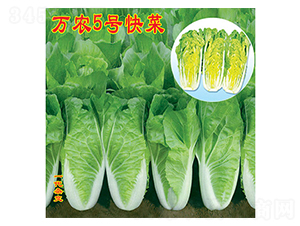 �f�r(n��ng)5̖���-��˷N��-�f�r(n��ng)�߿�