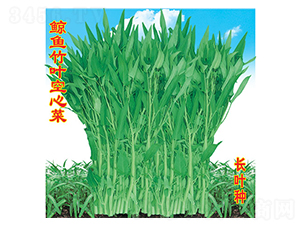 �L�~���~���Ĳ�-���Ĳ˷N��-�f�r(n��ng)�߿�