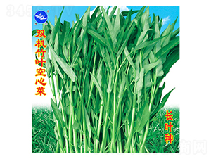 �p�C���~���Ĳ�-���Ĳ˷N��-�f�r(n��ng)�߿�