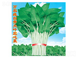 �f�r(n��ng)���׹Ǵ��~���Ĳ�-���Ĳ˷N��-�f�r(n��ng)�߿�