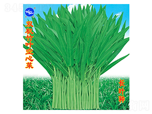 450���p�C���~���Ĳ�-���Ĳ˷N��-�f�r�߿�