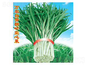 �f�r�׹����~���Ĳ�-���Ĳ˷N��-�f�r�߿�