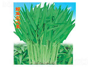 �L�~���Ĳ�-���Ĳ˷N��-�f�r�߿�