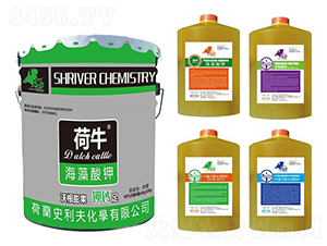 ��������ĺ�һ�ײͷ�-��ţ-ʷ����