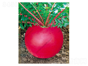 һƷ�t-�}���N��-ˮ���I