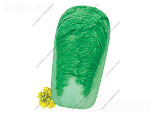 ˮ���I91-19-�ײ˷N��-ˮ���I