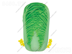 水師營美味-白菜種子-水師營