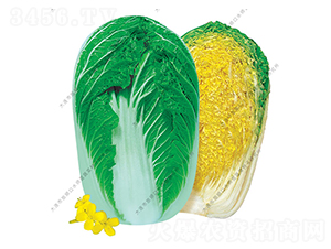 ���60-�ײ˷N��-ˮ���I(y��ng)