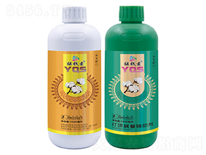 �޻���프�-�u�X������