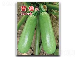 �̼�-�����J�N��-�x���