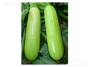 ����-�����J�N��-�x���