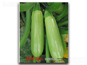 �̎�-�����J�N��-�x���