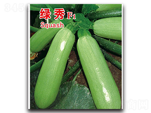 �G��-�����J�N��-�x���