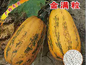 ��M��-�����J�N��-�x���