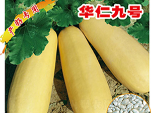 �A�ʾ�̖-�����J�N��-�x���