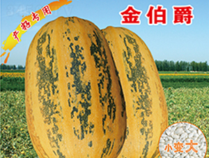 �𲮾�-�����J�N��-�x���