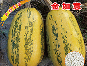 ������-�����J�N��-�x���