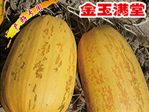 ����M��-�����J�N��-�x���