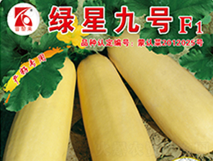 �G�Ǿ�̖-�����J�N��-�x���