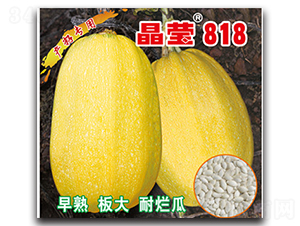 ����818-�����J�N��-�x���