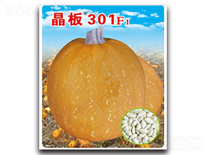 ����301-�����J�N��-�x���