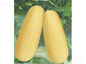 ̩�S��̖�����J-�����J�N��-��̩�_