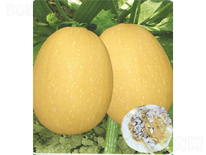 ̩�S��̖�����J-�����J�N��-��̩�_