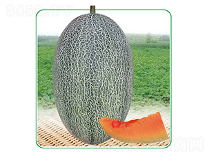 ��̩��17-��ϷN��-��̩�_